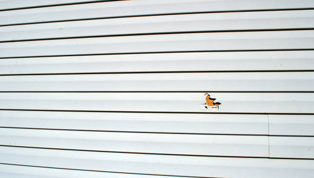 Best Composite Siding  in Rincon, GA